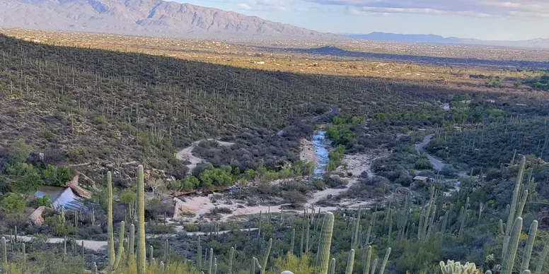 Sabino Overview