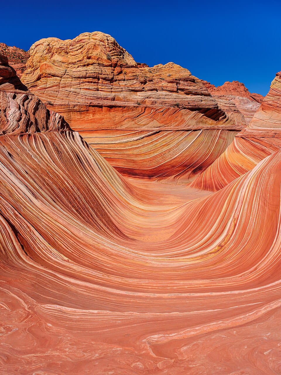 A Guide to Arizona's Must-Book-Ahead Attractions
