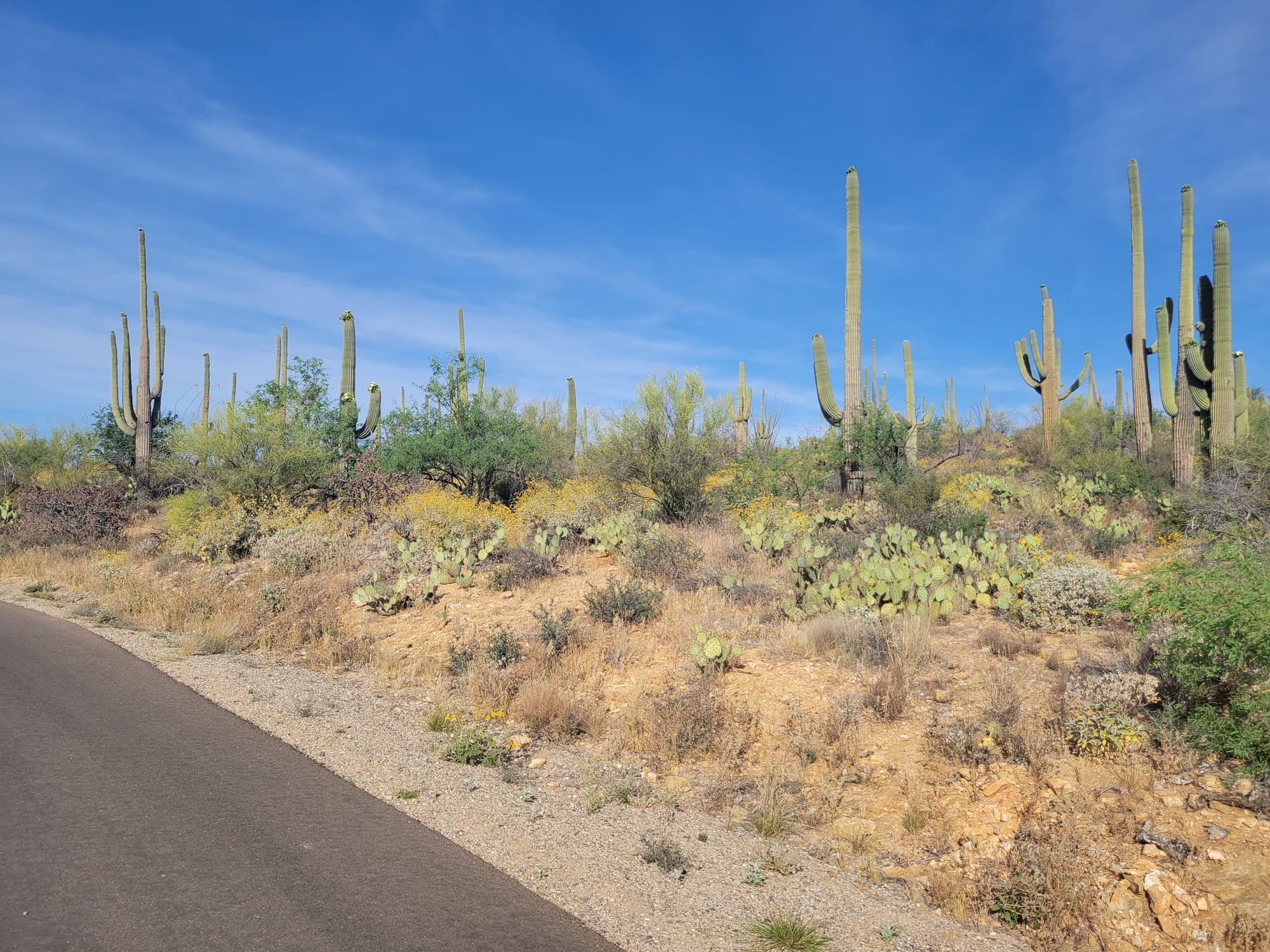 Desert Mirages and Other Strange Natural Phenomena in Arizona