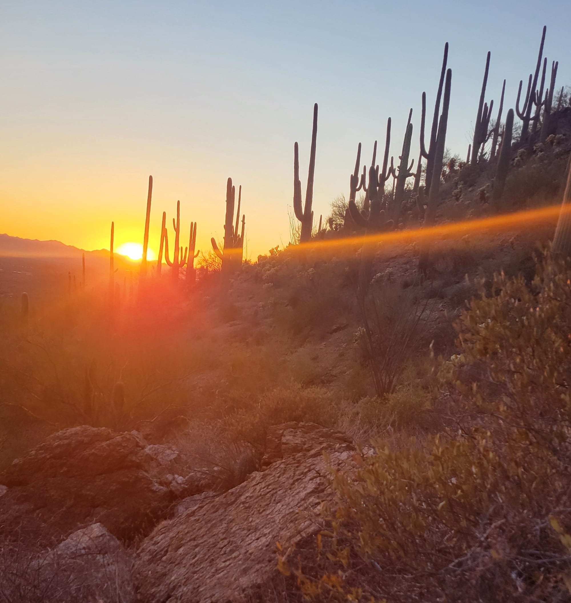 Desert Mirages and Other Strange Natural Phenomena in Arizona