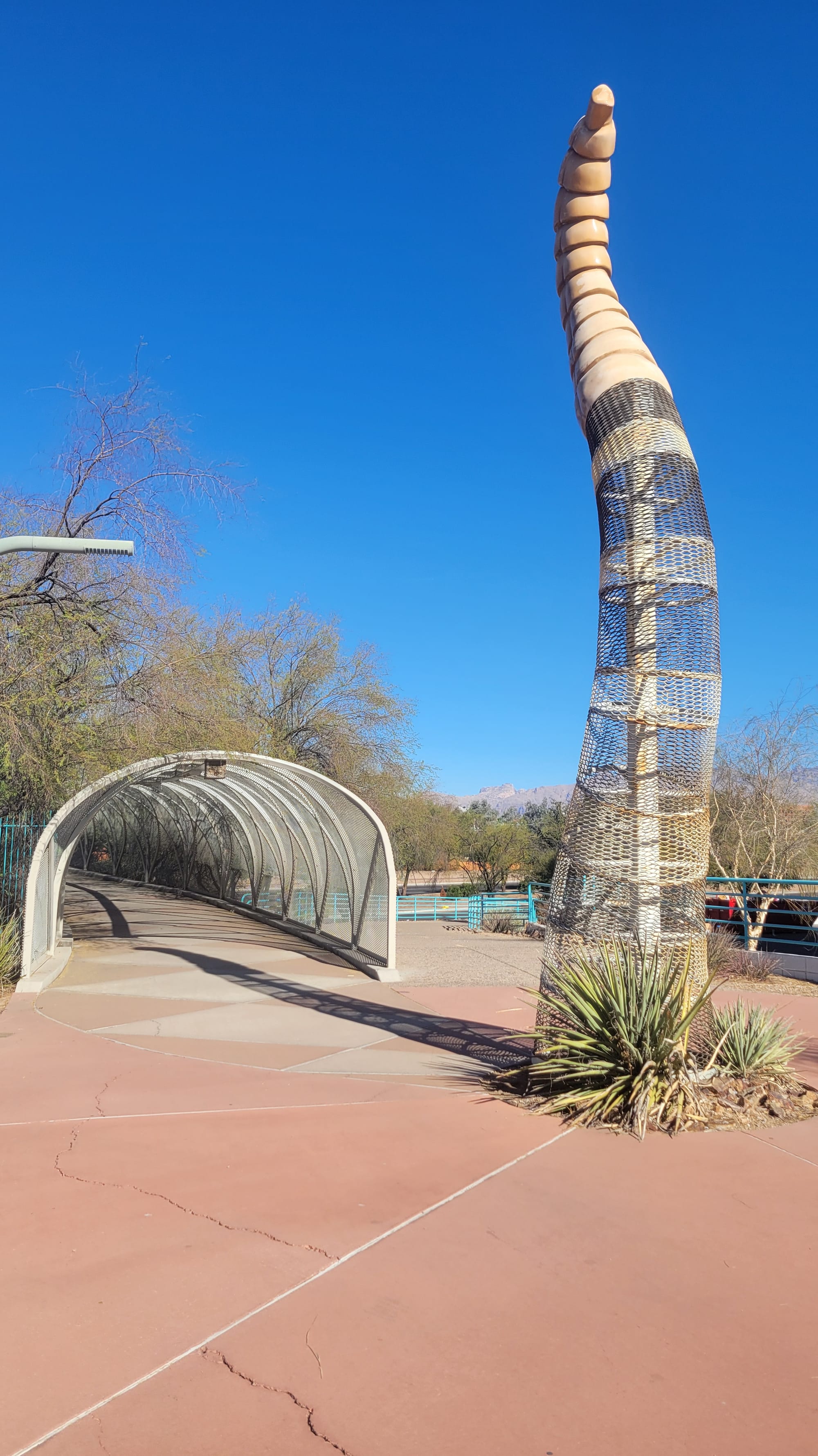 5 Quirky Roadside Attractions in Tucson
