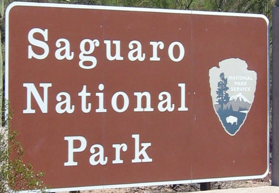 Saguaro Showdown: East vs. West Saguaro National Park