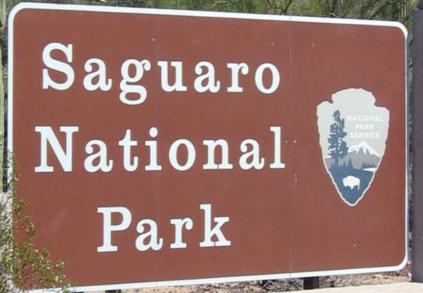 Saguaro Showdown: East vs. West Saguaro National Park