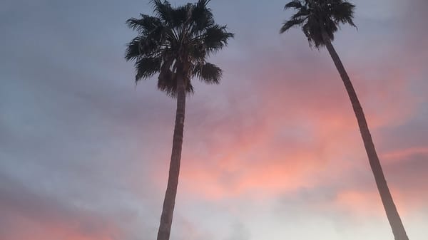 The Snowbird’s Survival Guide: How to Do Winter in Arizona